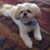 Ervin-Raoma Bastin Hovious's profile image