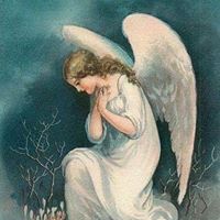 Laura Manzari Semerano's profile image