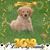 MaryAnn Pagliuca Morro's profile image
