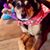 Linda Eastwood's profile image
