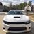 Dave Betsch's profile image