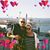 Kathe Martin's profile image