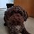 Laura A Pastor Duque's profile image