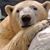 Санти Сантос's profile image