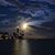 Susan Fischer Snapp's profile image