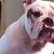 Julie Volker's profile image