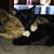 Jill Weidenbach's profile image