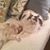 Deborah McCullough's profile image