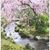 Myrna Peachock's profile image