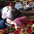 Josey Lane Daniel's profile image