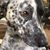 Diana Klemm's profile image