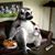 Scott Kuhn's profile image