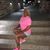 Sherri Powell's profile image