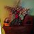 Mary Christiansen's profile image