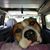 Helen Morris's profile image