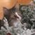Diana Rolf Smith's profile image
