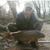 Shawn Enggasser's profile image