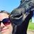 Melanie Schreiber Farney's profile image