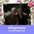 Cindy Creel Johnson's profile image