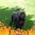 Sue Ellen's profile image