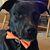 Zeus Humphrey's profile image