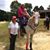 Andee DeMoss Rogers's profile image