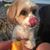 Bethany Brown DeCaspers's profile image