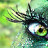 Charity's profile image