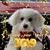 JoAnn Rood's profile image
