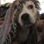 Stacey Klinger's profile image
