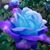 Wendy Currie's profile image