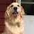 Christine Bergeron's profile image