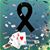 Alicia Butrón Valenzuela's profile image