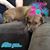 Regina Prause Shreve's profile image