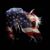 Deanna Angell's profile image