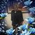 Darlene D Hollins's profile image