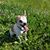 Caroline A Lundberg's profile image