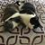 Dottie House's profile image