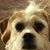 Linda Schadler's profile image