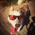 Nassim Guita's profile image