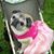 Dana DeMoss's profile image
