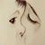Elia Angel's profile image