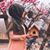 UM Nargis Ghazwan's profile image