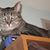 Brian Sherry OBrien's profile image