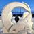 Lynette Wilfong Blankenship's profile image