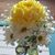 Kim Marie Compagner's profile image