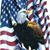 Travis Keilig's profile image