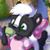 Dash Forester's profile image