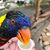 Lee Blinco's profile image