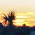 Deb Rizzo's profile image